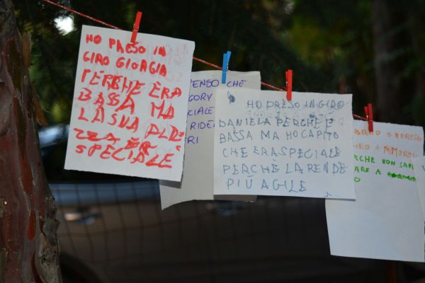 dsc-0877EF097CEE-73B6-5169-2098-45EB3D1DBD6E.jpg