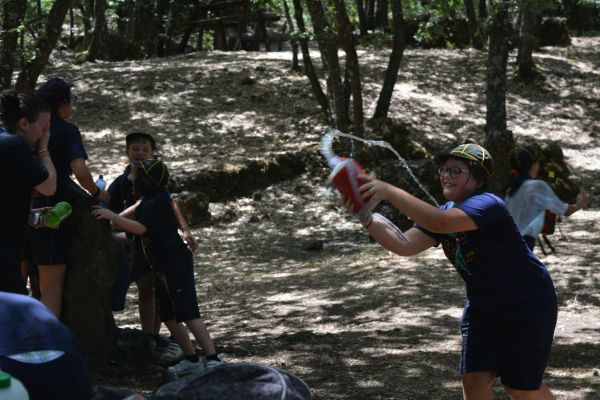 dsc-101470BC2194-8AA7-FA4D-D2B0-539ED12EAC27.jpg