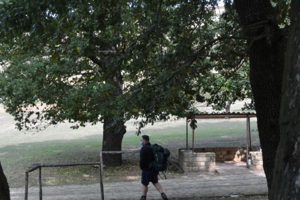 dsc-0198D4A87E6A-FAB2-B595-212F-D659D2DF4D7D.jpg